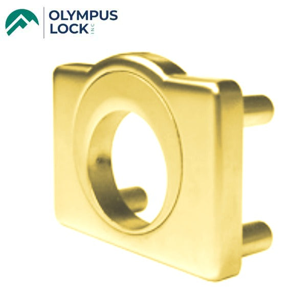 Olympus - ETS6 - Exterior Through-Bolt Mounting Plates for Olympus Cabinet Locks - Optional Finish