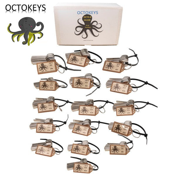 OCTOKEYS - HU100 Cut Laser Key Origination System